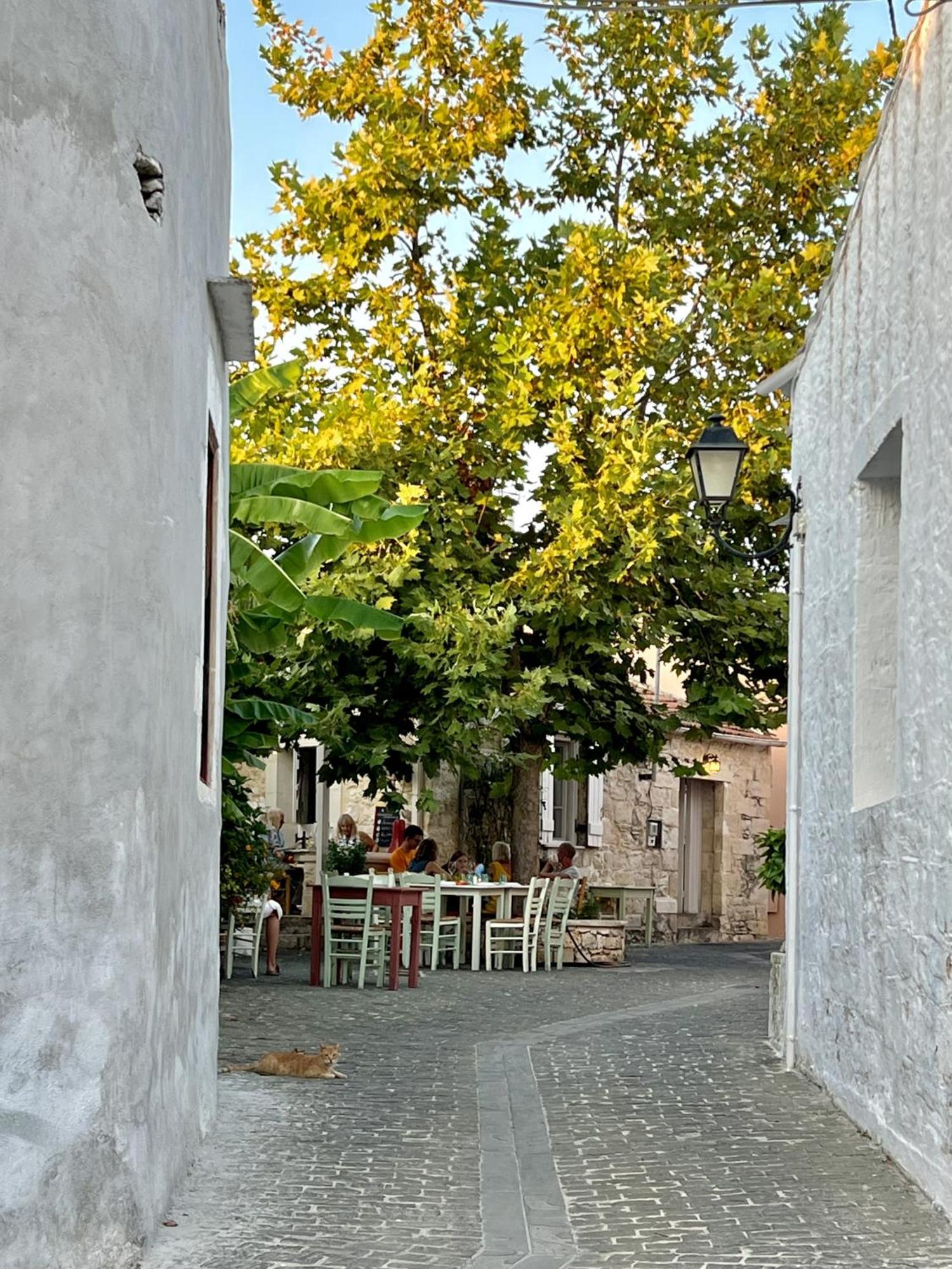 Villa Metapothia Gavalochori Crete Buitenkant foto